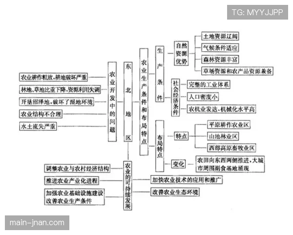 帕尔默的高光表现能否持续？竞技状态可持续性深度解析